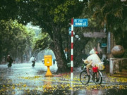 Tin tức - Hà Nội còn đợt gió Đông Bắc nào mát như hiện tại trong tháng 6 không?
