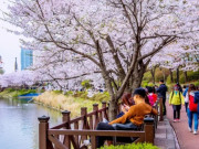 Lifestyle - Cách nào giúp khách Việt xin được visa Hàn Quốc 10 năm
