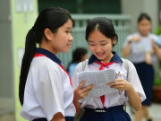 3 cách tra cứu điểm thi lớp 10 TPHCM năm 2026 nhanh chóng, chính xác nhất