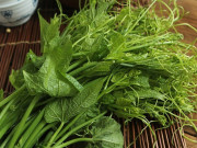 Sức khỏe - Loại rau mùa hè bán đầy chợ Việt, giúp hỗ trợ tim mạch, kiểm soát đường huyết hiệu quả