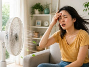 Sức khỏe - Dùng quạt sai cách trong ngày nắng nóng có thể gây hại sức khỏe: 5 lỗi nhiều gia đình đang mắc phải