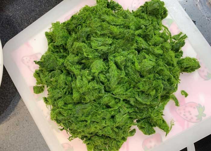 Rêu đá chế biến được nhiều món ngon