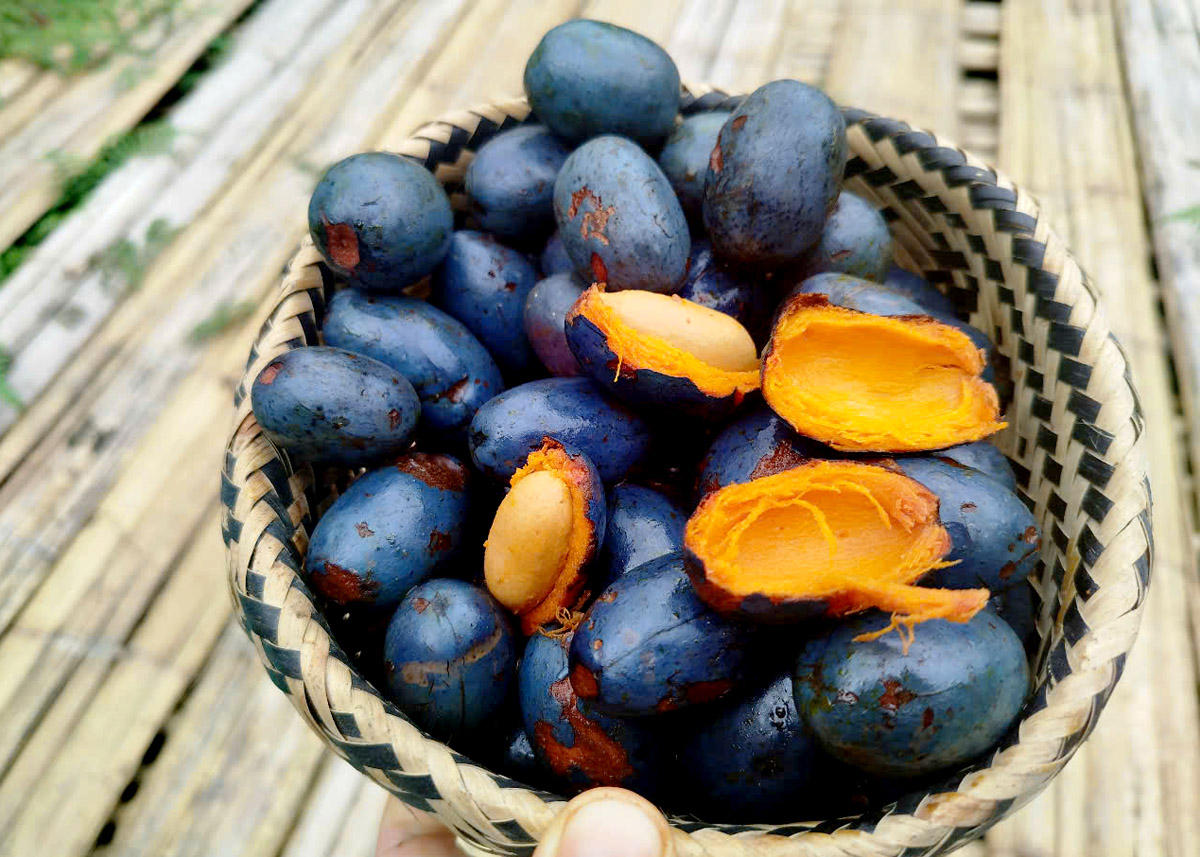 Món cọ ỏm chỉ có ở Phú Thọ