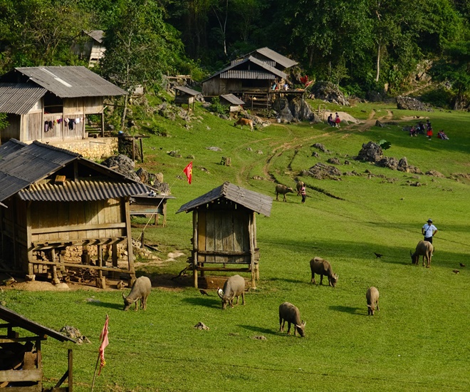 Cách Hà Nội không xa có “Làng nguyên thủy 3 không”, là thiên đường cho hội chữa lành với không khí mát lạnh 10 Ngôi làng bình yên giữa cao nguyên Mộc Châu – điểm đến lý tưởng cho du lịch “chữa lành”