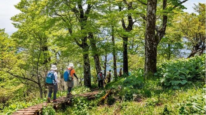 Một số quy tắc ngầm khi đi rừng, leo núi trên thực tế là những nguyên tắc an toàn cho con người và là lời nhắc tôn trọng núi rừng. Ảnh minh họa: Bookmundi.