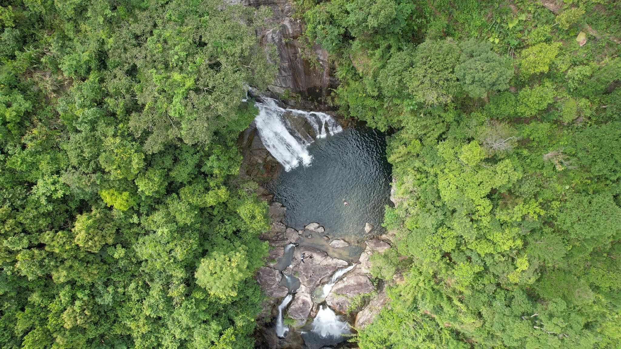 Khung cảnh xanh ngát bình yên