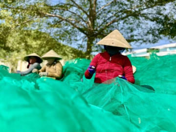 Những nụ cười mặn mùi biển tại cảng Hòn Rớ