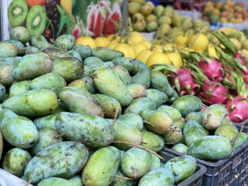 Một loại xoài Việt đang bán đầy chợ giá chỉ hơn chục nghìn đồng/kg, tiểu thương tiêu thụ hàng tạ mỗi ngày ai nhìn cũng muốn mua