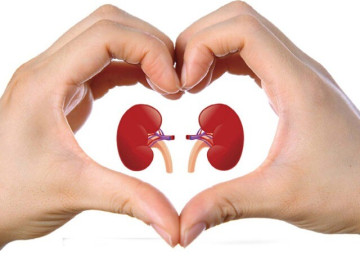 Người bệnh suy thận cần làm gì để duy trì chức năng thận và phòng ngừa biến chứng?