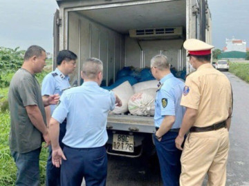 Một tấn lòng lợn đang phân hủy sắp "tuồn" ra thị trường trước ngày nghỉ lễ