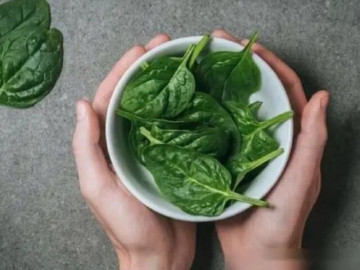 Cải bó xôi vì sao có lúc ngọt, lúc chát?