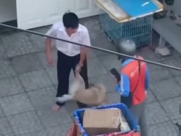 Công an vào cuộc vụ shipper bị đánh vì từ chối cắt lông chó ở TPHCM