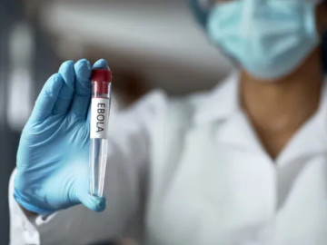 Vì sao WHO đánh giá nguy cơ Ebola vào Việt Nam ở mức thấp?