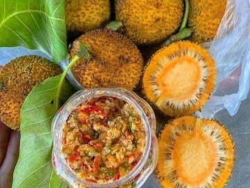 Loại quả dại mọc đầy bờ rào không ai hái giờ thành đặc sản được ưa chuộng giá 120.000 đồng/kg, có tiền vẫn khó mua