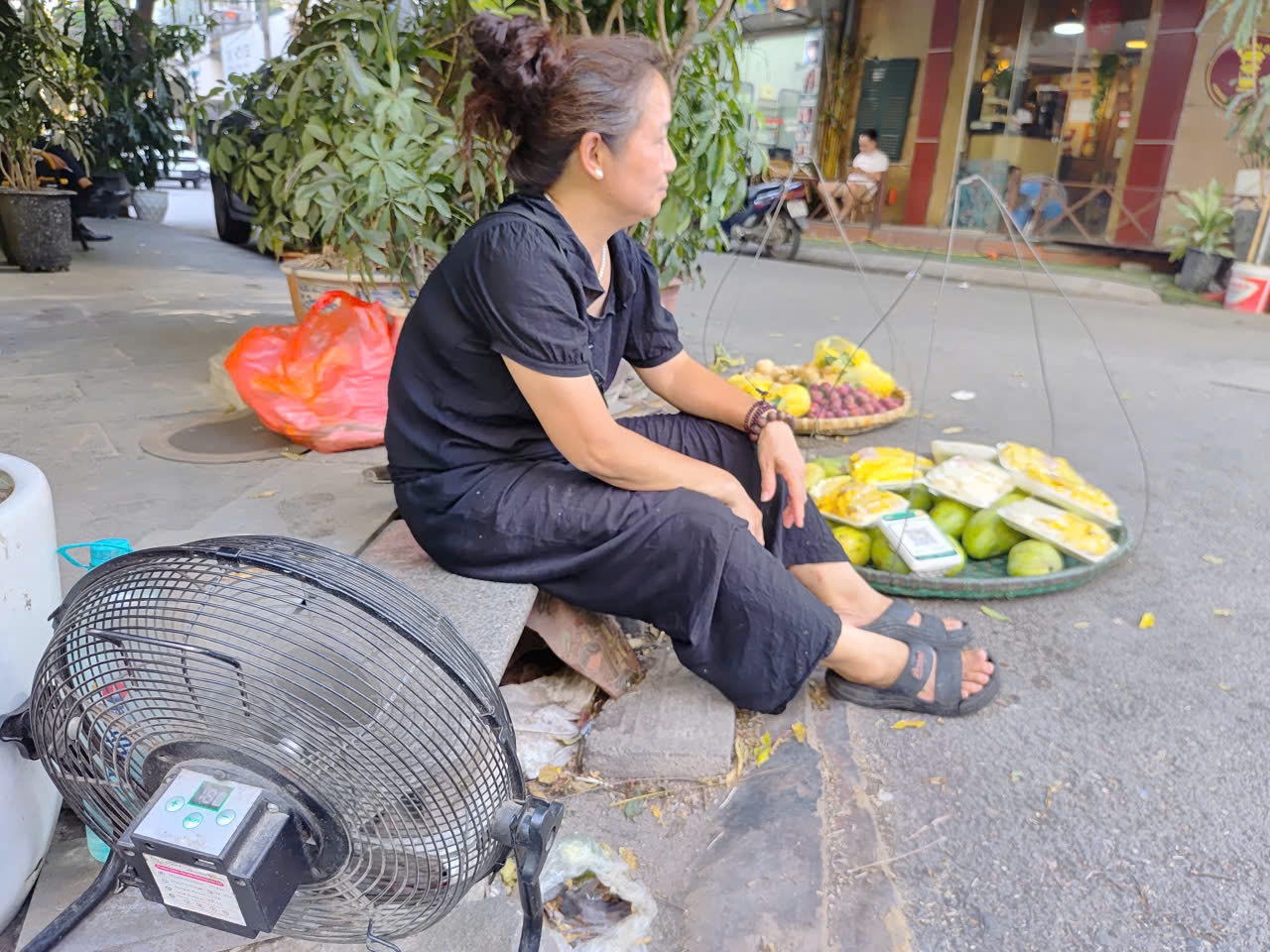 Thời tiết nắng nóng kéo dài, gánh hoa quả của cô Lan ế ẩm hơn ngày thường