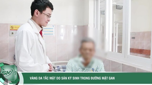 Vàng da, tắc mật do sán ký sinh trong đường mật gan