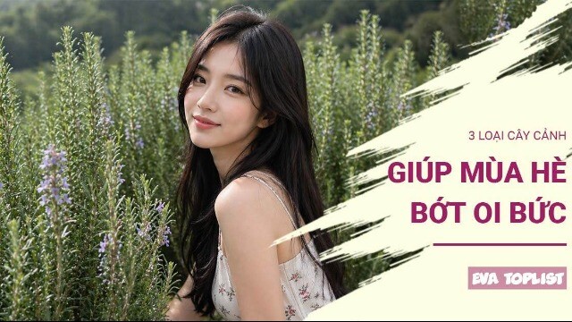 Trồng ngay 3 loại cây này, không gian sống dịu mát hơn trong những ngày nắng nóng