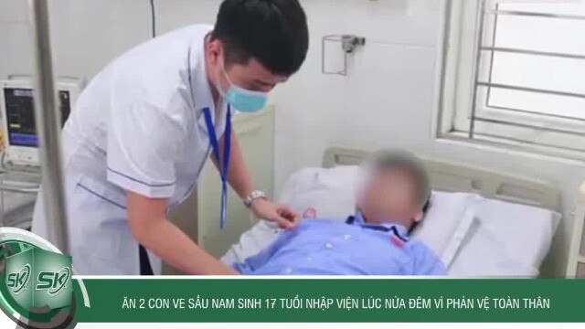 Ăn 2 con ve sầu, nam sinh 17 tuổi nhập viện lúc nửa đêm vì phản vệ toàn thân