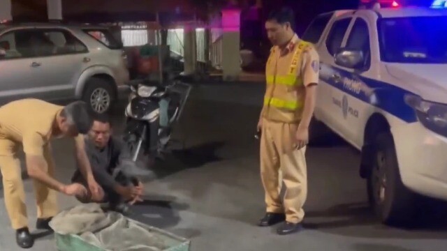 Chở hàng trăm cá thể chim hoang dã đi tiêu thụ, người đàn ông bị phát hiện