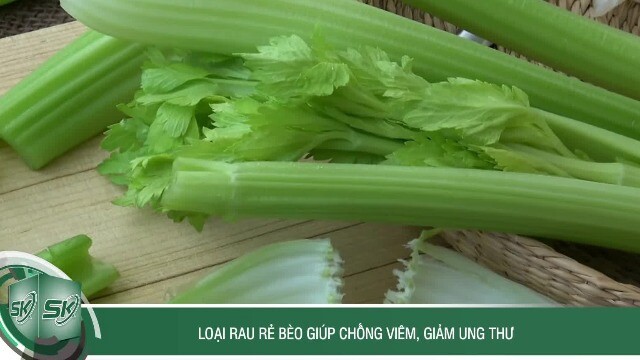 Loại rau rẻ bèo giúp chống viêm, giảm ung thư