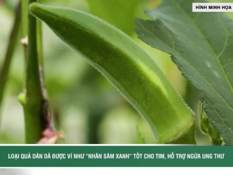 Loại quả dân dã được ví như “nhân sâm xanh” tốt cho tim, hỗ trợ ngừa ung thư
