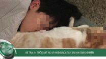 Bé trai 14 tuổi suýt mù vì không rửa tay sau khi ôm chó mèo