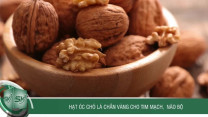 Hạt óc chó lá chắn vàng cho tim mạch, não bộ