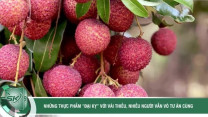 Những thực phẩm  & #039;đại kỵ & #039; với vải thiều, nhiều người vẫn vô tư ăn cùng