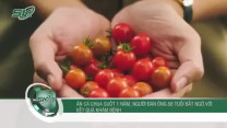 Ăn cà chua suốt 1 năm, người đàn ông 58 tuổi bất ngờ với kết quả khám bệnh