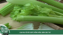 Loại rau rẻ bèo giúp chống viêm, giảm ung thư