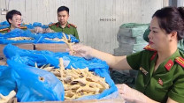 Cận cảnh 260 tấn chân gà hết hạn, bốc mùi trong kho hàng của đường dây buôn lậu