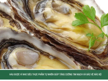 Hàu được ví như siêu thực phẩm tự nhiên giúp tăng cường tim mạch và bảo vệ não bộ