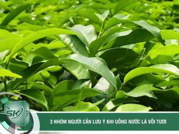 3 nhóm người cần lưu ý khi uống nước lá vối tươi