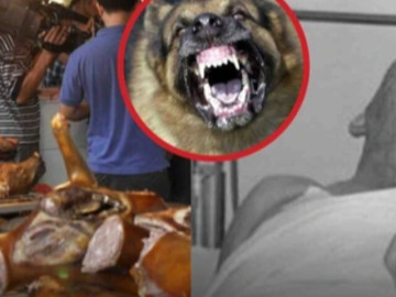 Chủ quán thịt chó tử vong sau 5 ngày phát bệnh dại