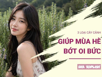 Trồng ngay 3 loại cây này, không gian sống dịu mát hơn trong những ngày nắng nóng