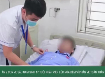 Ăn 2 con ve sầu, nam sinh 17 tuổi nhập viện lúc nửa đêm vì phản vệ toàn thân