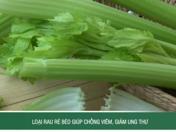 Loại rau rẻ bèo giúp chống viêm, giảm ung thư