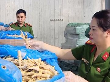 Cận cảnh 260 tấn chân gà hết hạn, bốc mùi trong kho hàng của đường dây buôn lậu
