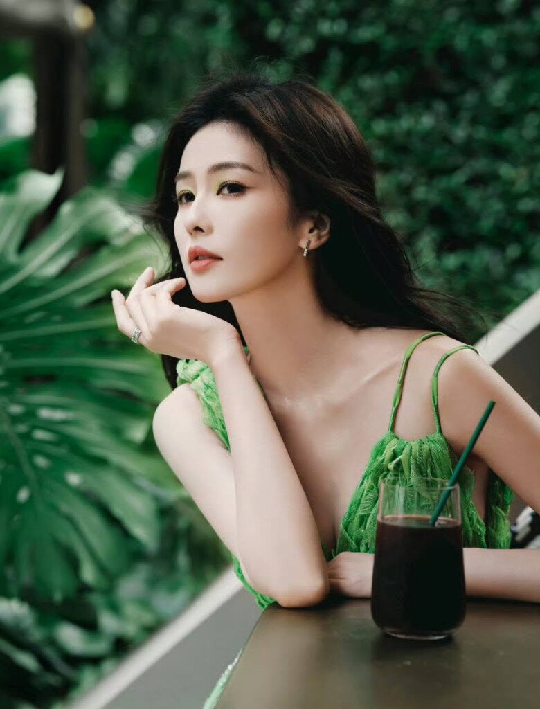 Bạch Lộc bị nghi làm giả học vấn.