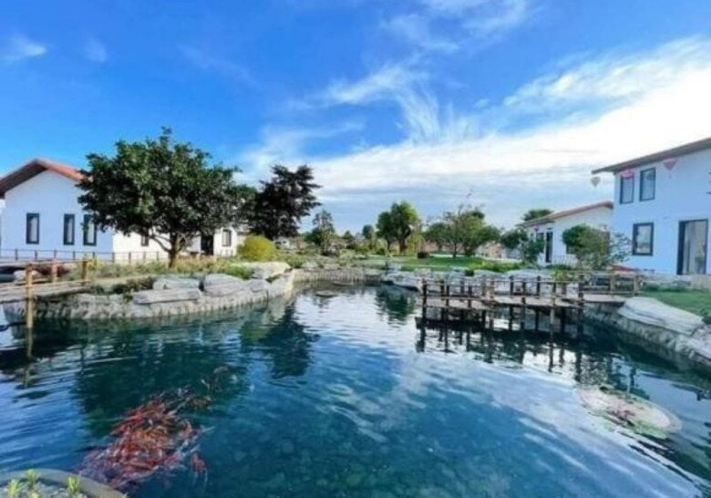 Cậu bé 5 tuổi mất mẹ từng mót mủ cao su, nay là danh hài nổi tiếng cả nước, có biệt thự rộng như công viên - 12