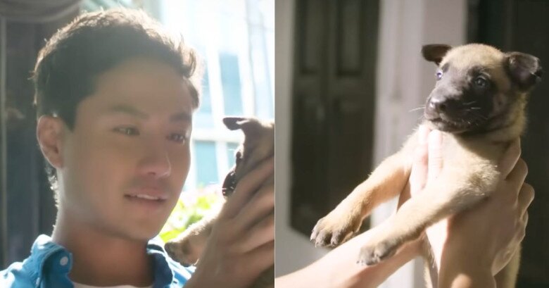 Coddy trở về bên Thành trong một sinh mệnh khác.