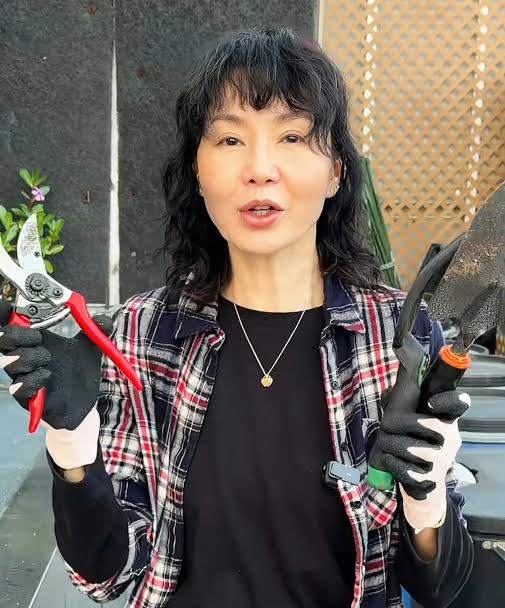 Nàng hậu xinh đẹp nằm trong hàng ngũ amp;#34;tứ đại mỹ nhânamp;#34;, tuổi già cô độc trên khối tài sản 2000 tỷ - 16