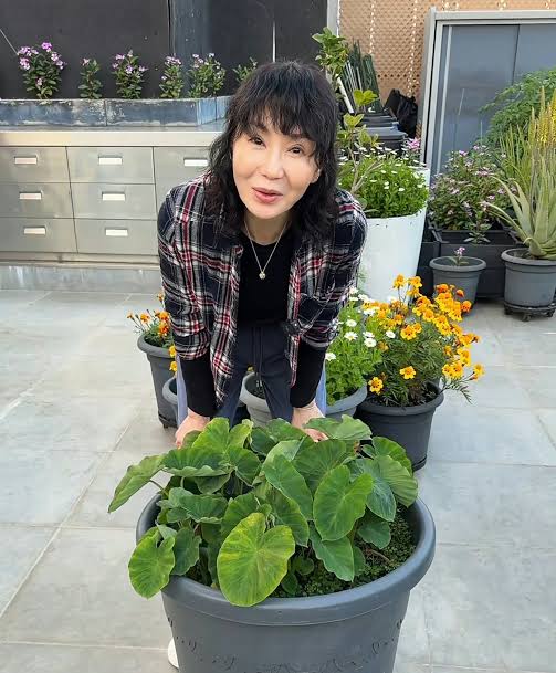 Nàng hậu xinh đẹp nằm trong hàng ngũ amp;#34;tứ đại mỹ nhânamp;#34;, tuổi già cô độc trên khối tài sản 2000 tỷ - 15