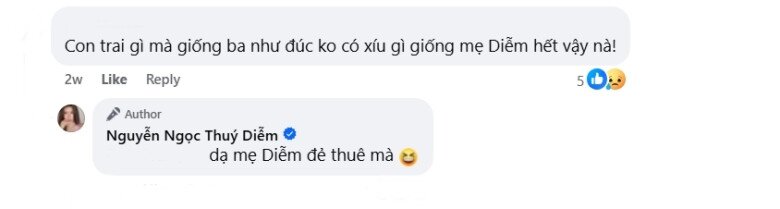 Thúy Diễm hài hước tự nhận là đẻ thuê.