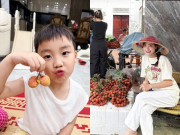 Giải trí - Sao Việt 24h: Hòa Minzy khoe con trai làm "mẫu nhí" bán vải cho bà, Tùng Dương "đặt gạch" số lượng khủng đòi freeship