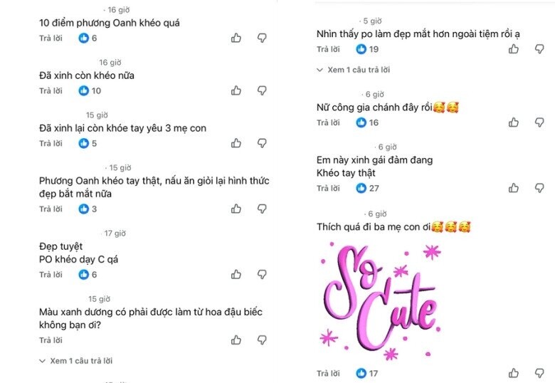 Nhiều khán giả để lại lời khen cho sự khéo léo của Phương Oanh.