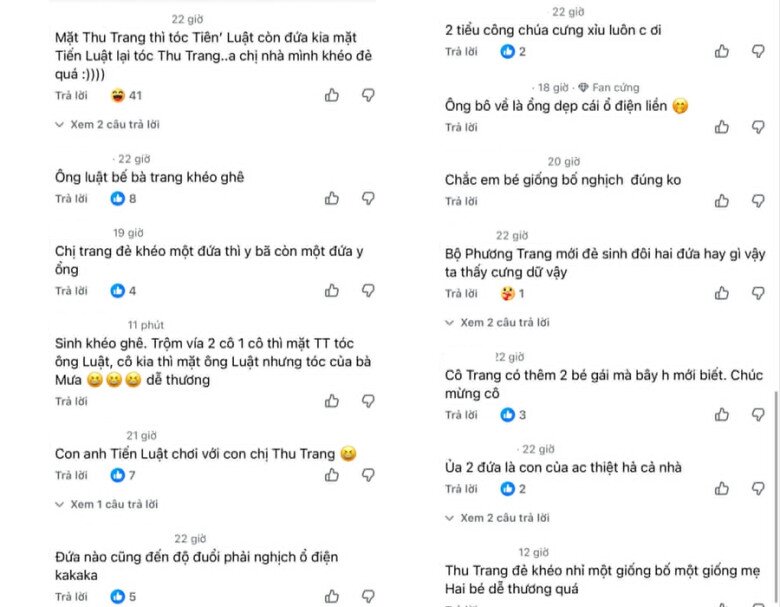 Nhiều khán giả nhận xét về gương mặt giống bố mẹ của cặp sinh đôi.