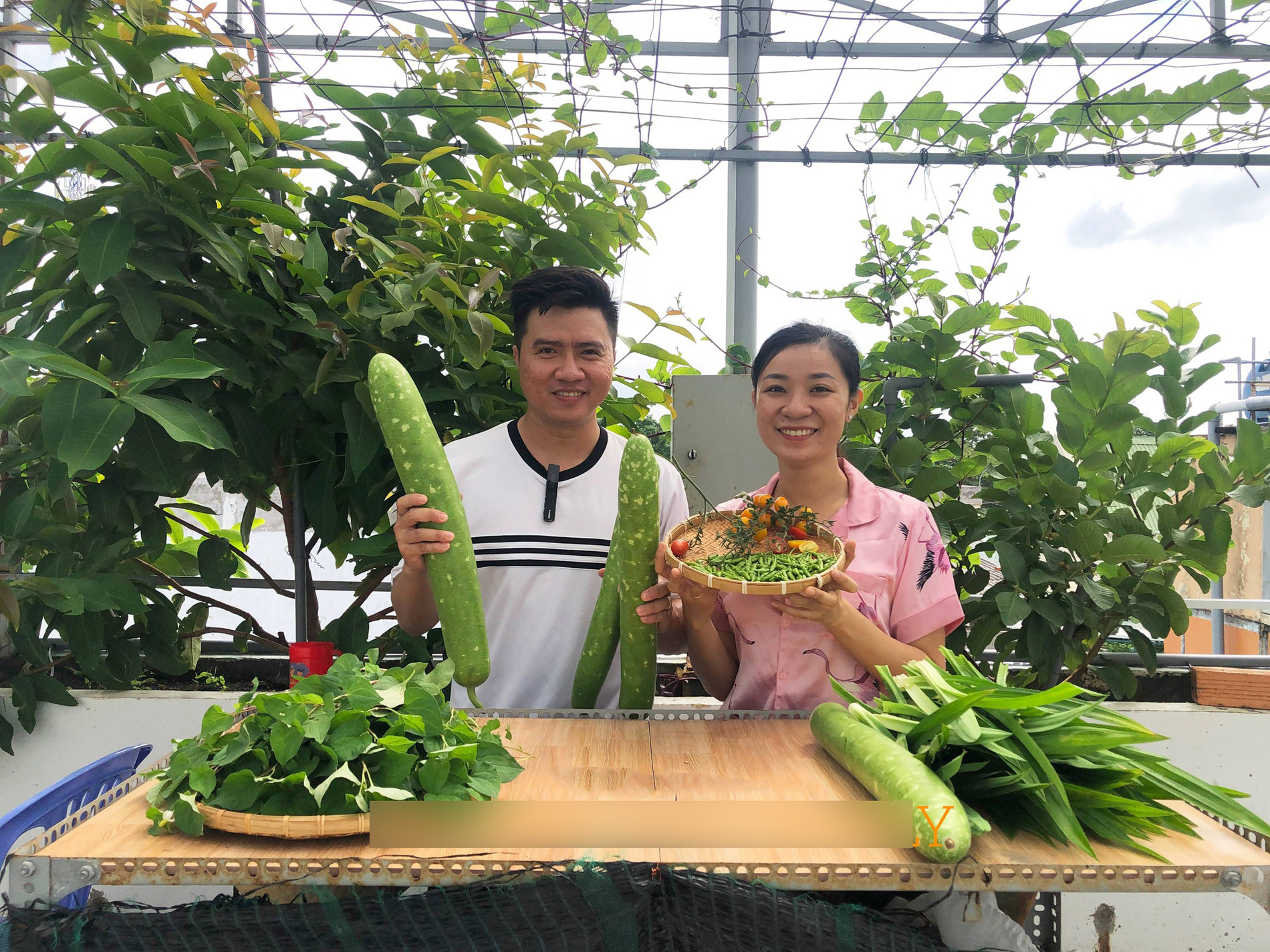 Rau trái trong vườn phát triển tốt, cho thu hoạch thường xuyên 