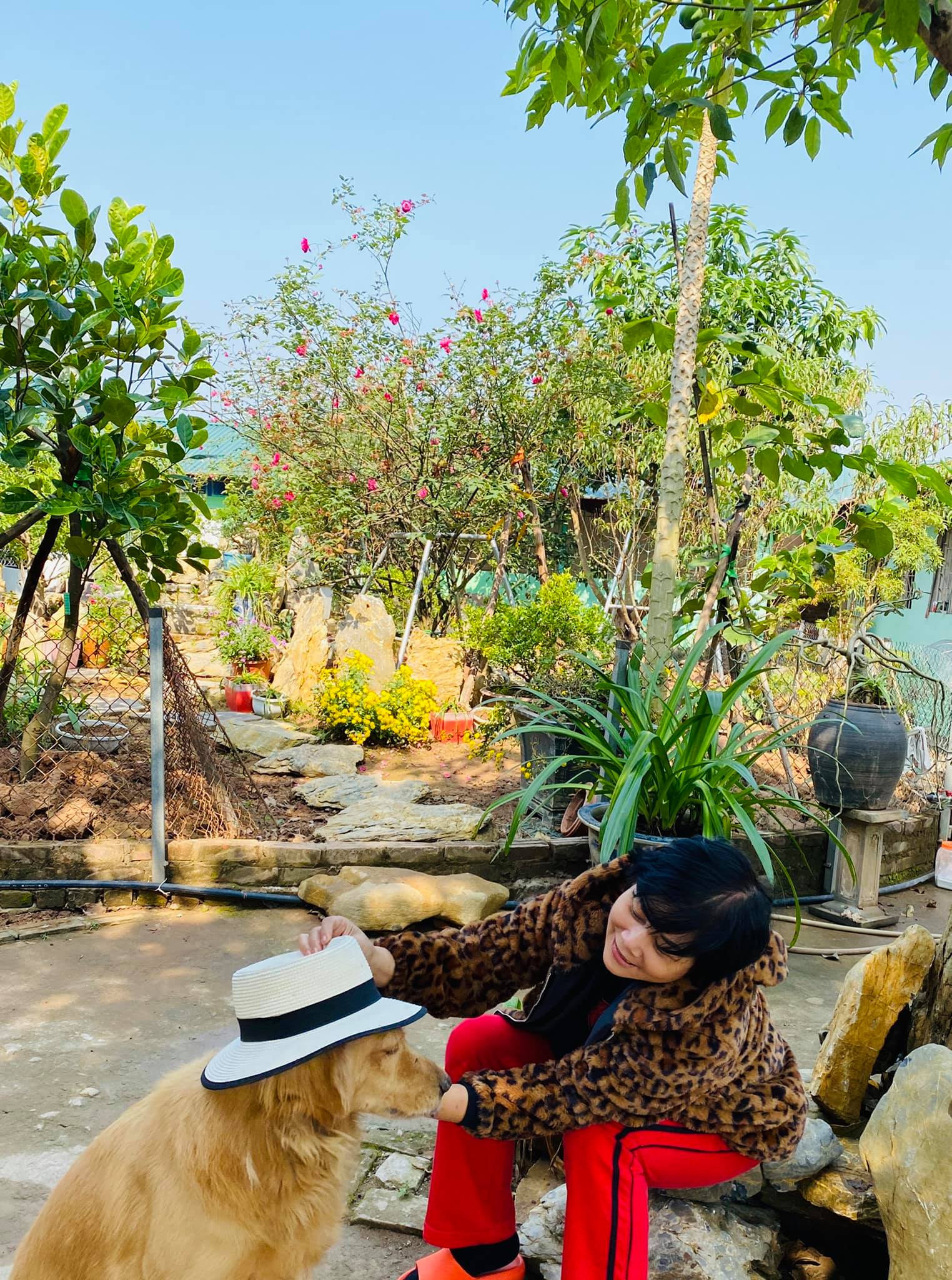 NSND Bạch Tuyết an yên trong biệt thự, NSND Minh Hằng sống một mình ở nhà vườn 20.000m2 - 4