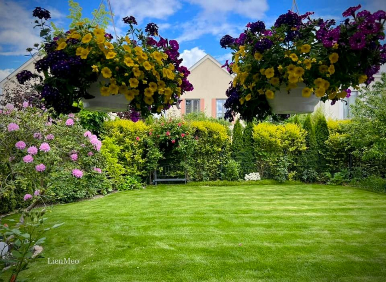 Người phụ nữ Việt ở Đức tái hiện khu vườn tuổi thơ 350m2 ngập tràn hoa trái - 5